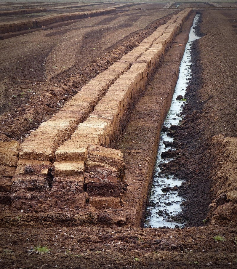 Potting Soil