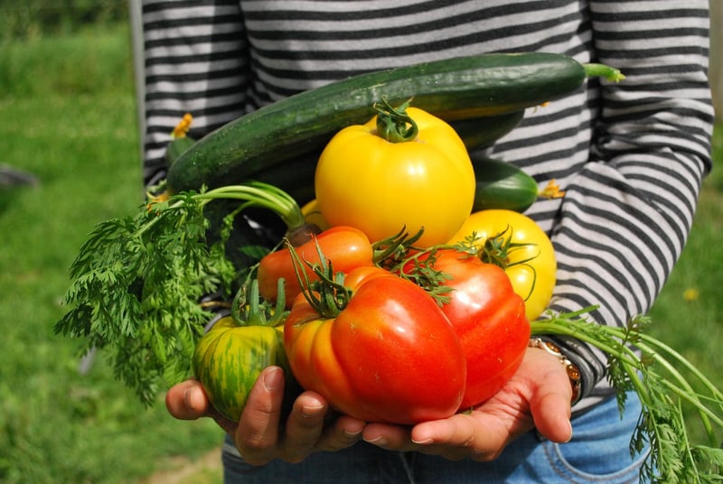 Community Garden